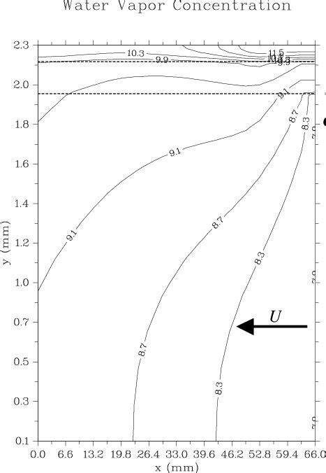 Image result for Concentration Gradient in Cathode