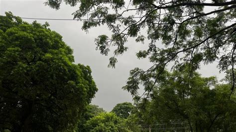Punjab Weather Updates: IMD Issues Yellow Alert Warning of Heavy Rain ...