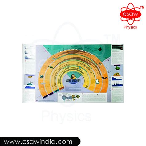 Sound Spectrum Chart for Laboratory online in India - ESAW