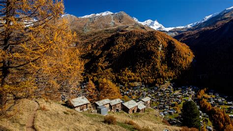 5 skiers found dead on Swiss mountain - founded in switzerland