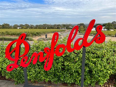 WINE VALLEY TOURS - All You Need to Know BEFORE You Go 2026 (with ...
