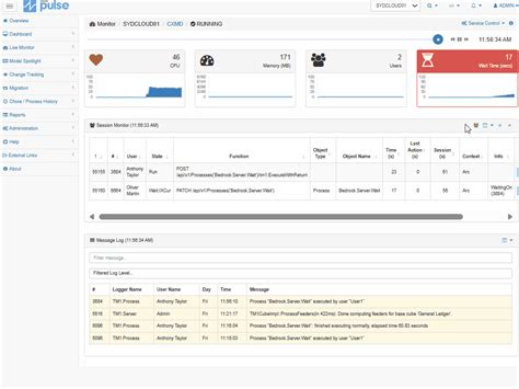 Image result for Pulse Software Tips