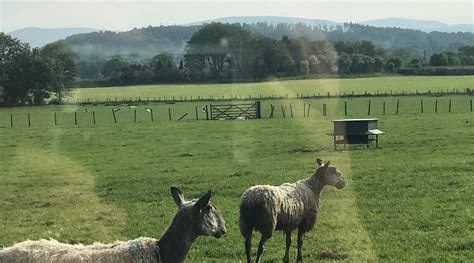 LOW FARM HOUSE (Claughton) - Farmhouse Reviews & Photos - Tripadvisor