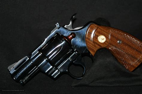 Image result for Bright Colt Python 2 1 2