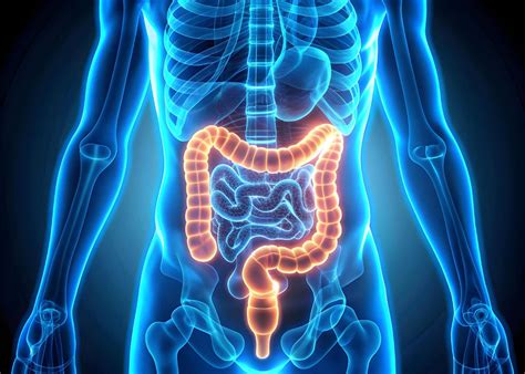 Endoscopista profesional en CDMX: Experiencia y Diagnósticos Precisos