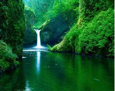 Nature Wallpaper For by Fly Above The Rest Nature Wallpaper Nature Wallpaper For