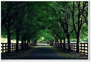 dailyobjects-welcome-home-small-wall-art-print Paper Print - robin ...