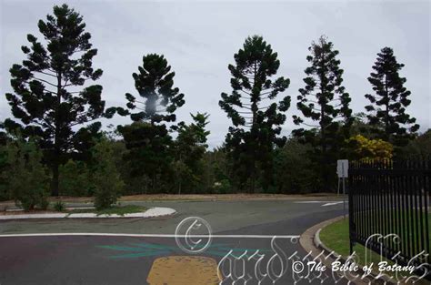 List of Gardens – The Bible of Botany