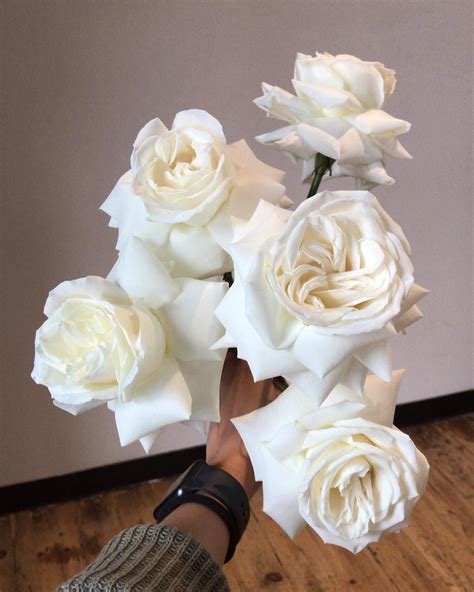 Rose Playa Blanca on Thursd | White roses wedding, Rose wedding bouquet ...