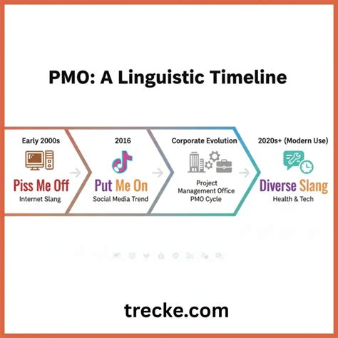 What Does PMO Mean in Text? Slang Meanings, Examples & Use