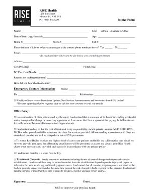 Fillable Online RISE Health Intake Form Fax Email Print - pdfFiller