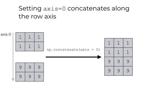 Image result for Python-Numpy Concatenate
