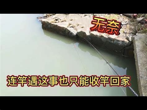 航拍湛江调顺跨海大桥，被民间戏称为：“调情”……-特殊摄影:航拍视频-新片场
