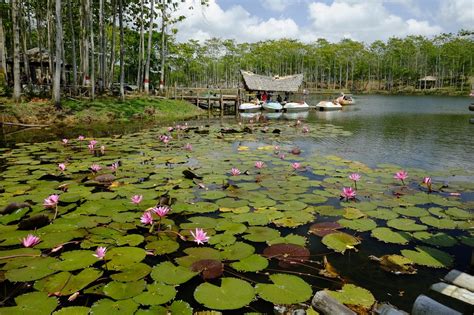 Cilacap Tourism (2024): All You Need to Know Before You Go