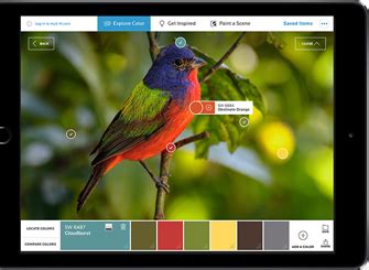 Image result for SW Color Snap Visualizer