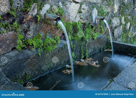 Fuentes de agua naturales foto de archivo. Imagen de vida - 62741898