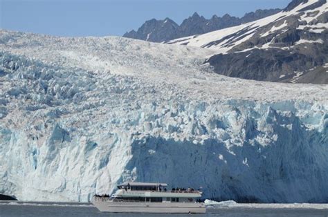 Alaskan Explorer - Reviews, Photos - Kenai Fjords Tours - Tripadvisor