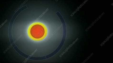 Image result for Cell Cycle Animation