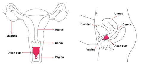 Do sanitary pads have harmful chemicals?