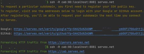 HTTP/TCP туннель. Проброс локального порта в мир