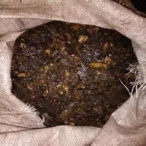 Cashew Nut Shell Liquid Exporter, Supplier from Ganjam