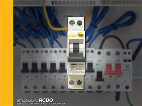 Testing Rcbo 的图像结果