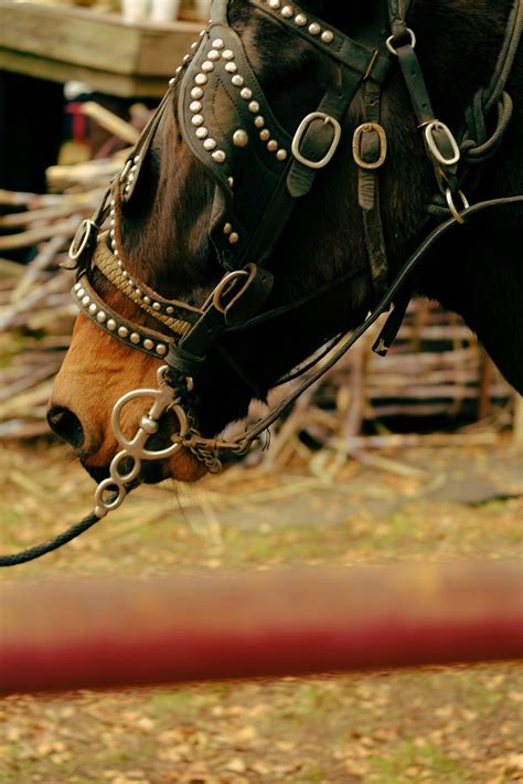 2025 Heritage Syrup Festival - Henderson, TX