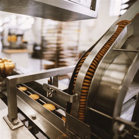 Discovering the World of Industrial Food Processing Equipment ...