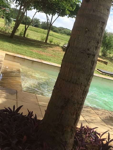MANDHARINI (Kilifi) - Apartment Reviews & Photos - Tripadvisor