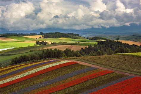 Japan Island 的图像结果