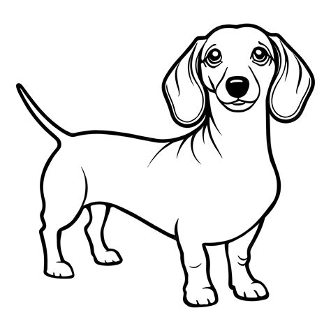 Premium Photo | Dachshund dog coloring page for kids