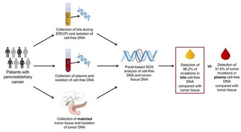 Bile-Based Cell-Free DNA Analysis Is a Reliable Diagnostic Tool in ...