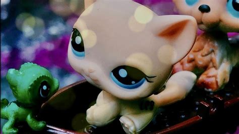LPs Tangled Part 2 的图像结果