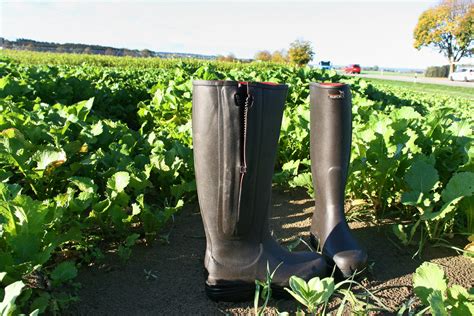 Echte Landwirte tragen Winter 2024 diese Gummistiefel | agrarheute.com