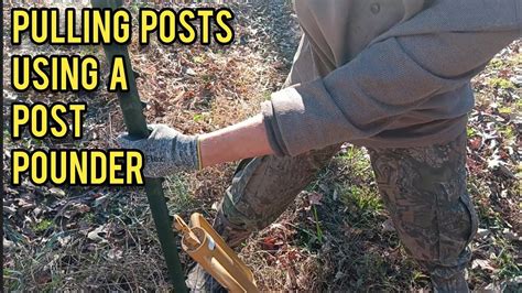 Image result for How to Pull Posts