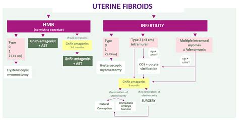 Conservative Management of Uterine Fibroid-Related Heavy Menstrual ...
