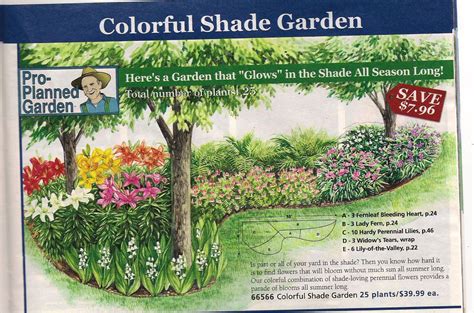 Shade Garden plan from Michigan Bulb Co., north garden | Perennial ...
