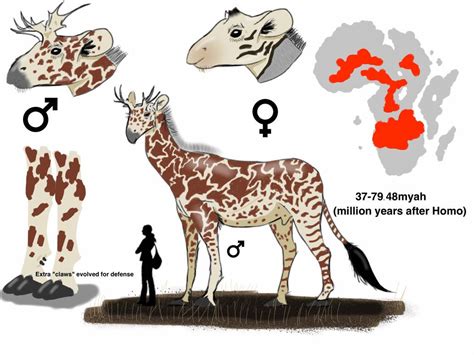 Future Animals Evolution 的图像结果