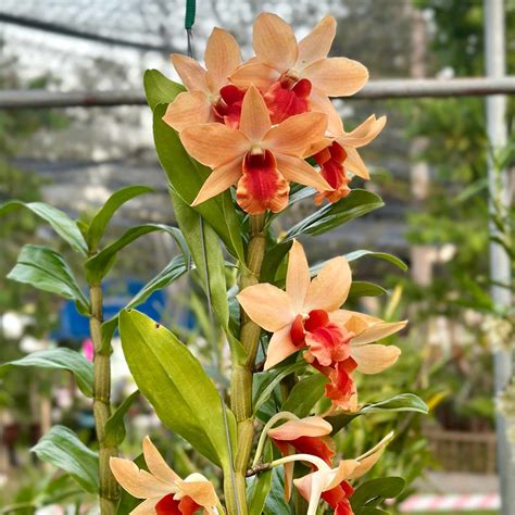 10 Things You NEED To Know About The JenBretty Leak Aftermath - Truth or Fiction