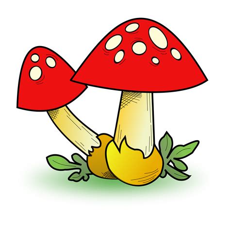 Forest mushroom clipart 20 free Cliparts | Download images on ...