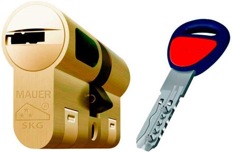 Nw5 Security Cylinder 31 X 51 Brass Colour Reinforced Anti | Desertcart ...