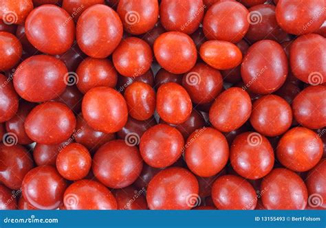 Boston baked beans candy stock image. Image of candy - 13155493