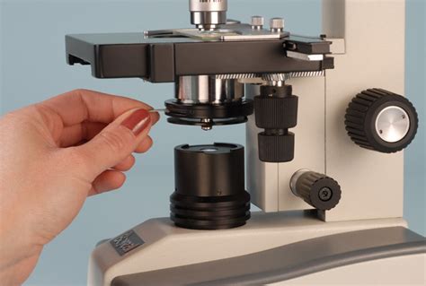 Image result for Function of Microscope