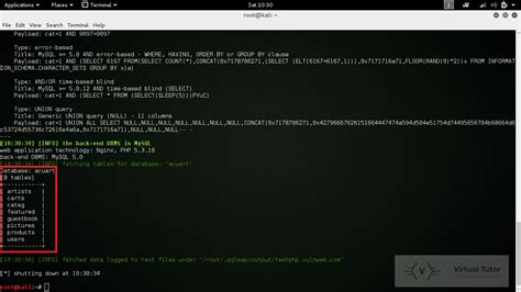 Sqlmap Tutorial Kali 的图像结果