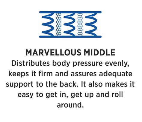 Spine Guard Bonnell Spring Mattress - PEPS - 9842018817