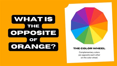 What Is the Opposite of Orange? (Complementary Color) | Color Meanings