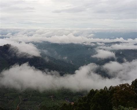 FRAGRANT NATURE MUNNAR (Pothamedu) - Hotel Reviews, Photos, Rate ...