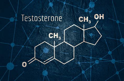 Image result for High Testosterone Levels Sign