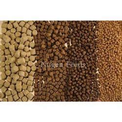 Broken Rice & Maize Wet DDGS Fish Feed Manufacturer from Panipat