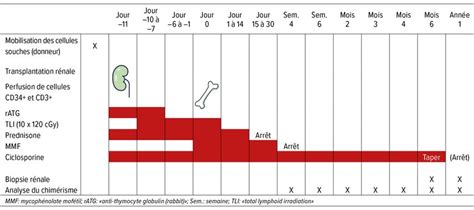 Induction d’une tolérance obtenue par la transplantation combinée d’un ...